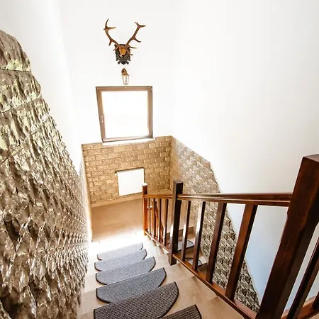 Holiday home Pensiunea Agroturistica Rares *